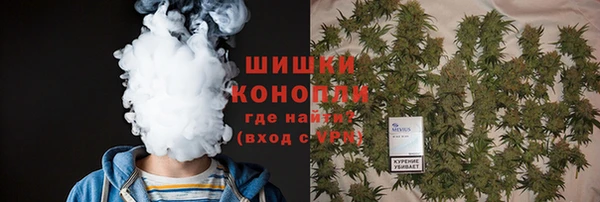 гидра Армянск