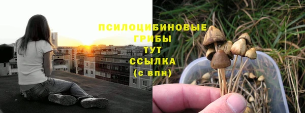 каннабис Арсеньев