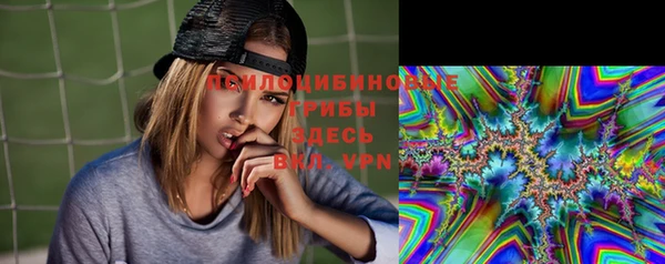 каннабис Арсеньев