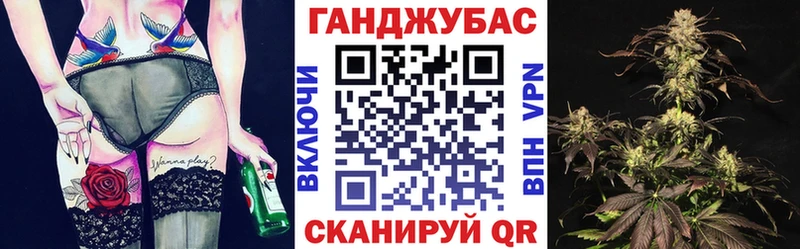 Купить где Алзамай МАРИХУАНА марихуана